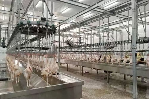 廣西金融投資集團 電子工程與金融科技融合的領軍者