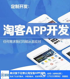 開(kāi)封淘客軟件與花卷云 計(jì)算機(jī)系統(tǒng)集成服務(wù)的成本解析